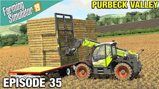 SELLING MORE BALES Farming Simulator 19 Timelapse - Purbeck Valley Farm FS19 Ep 35