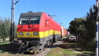 Makedonski Železnici - Trains in North Macedonia - October 2022