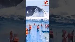 THE TERRIBLE SLAP OF THE WHALE'S TAIL