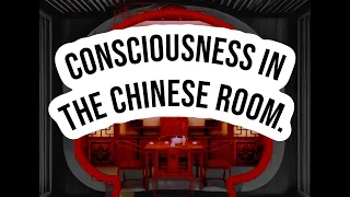 CONSCIOUSNESS IN THE CHINESE ROOM