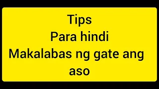 Tips Para Hindi Makalabas ng Gate Ang Aso Paano Gumawa ng Screen sa Gate