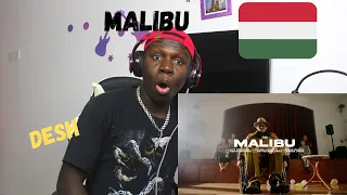 DESH - MALIBU Official  Video Reaction!