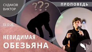 Виктор Судаков – Невидимая обезьяна