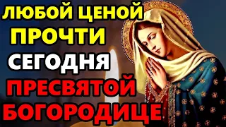 ВКЛЮЧИ 1 РАЗ ЭТУ МОЛИТВУ И ВСЕ ИСПОЛНИТСЯ! Молитва Пресвятой Богородице! Православие
