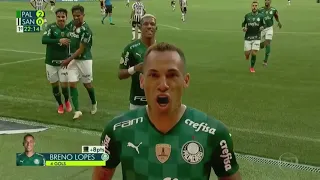 Palmeiras 3 x 2 santos melhores momentos