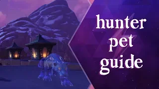 Hunter Pet Guide - World of Warcraft - BfA 8.2