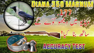 Best Hunting With Diana 350 Magnum .177 Accuracy & Power Test Crow Hunting with diana