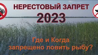 Нерестовый запрет 2023 / основные запреты / Башкирии