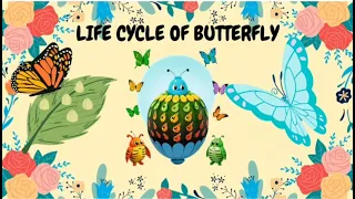 THE LIFECYCLE STORY OF A BUTTERFLY