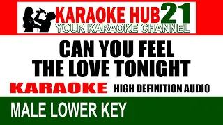 CAN YOU FEEL THE LOVE TONIGHT Karaoke LOWER KEY | Karaoke Hub 21