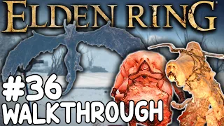 This dragon was a Nightmare.. - ELDEN RING Walkthrough Dexterity Build - Elden Ring Gameplay Part 36