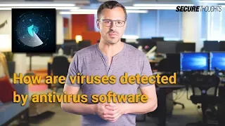 How are Viruses Detected by Antivirus Software?