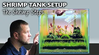The Shrimp Steps: Shrimp Tank Setup for Caridina with Aquascape (12 Week Timelapse)