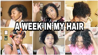 OMG! Weekly Hair Care Routine: (Hairstyle of the Week Timeline) What I Do ALL 7 Days