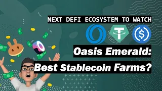 Next DeFi Ecosystem to Watch? Oasis Network Review