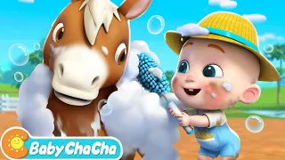 Old MacDonald Had a Farm 2 | Farm Animals Song | Baby ChaCha Nursery Rhymes & Kids Songs