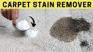 Remove Bike Grease, Oil Stains from Carpet with Baking Soda  Homemade Carpet Cleaner