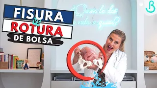 💦🤨¿HAS ROTO AGUAS? DIFERENCIA entre ROTURA DE BOLSA y FISURA DE BOLSA || Baby Suite by Pau