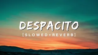 Despacito ~ Lofi(Slowed × Reverb) ft. Danny Yankee & Luis Fonsi #lofi #despacito