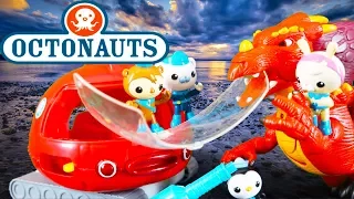 Octonauts Adventure Special - Episode 16 - Dragon Rescue - Full Episodes  - Cbeebies