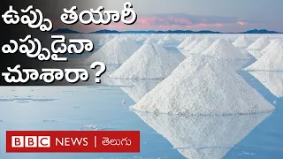 Salt Making Process: మనం రోజూ తినే ఉప్పు ఎలా తయారవుతుంది? అది పండించే పొలాలు ఎలా ఉంటాయి? |BBC Telugu