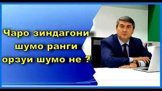 Кадом соҳаро барои худ интихоб мекунед? Саидмурод Давлатов