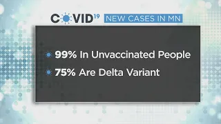 Mayo Doctor Issues Strong Warning Over COVID's Delta Variant