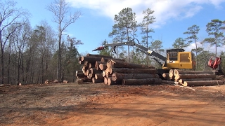 Skid Logging Hardwoods in Central Alabama 2017 HD