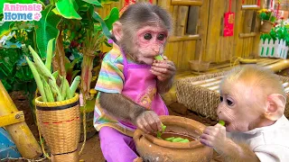 Smart BiBi harvests string beans to feed baby monkey Obi