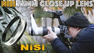 NiSi 77mm Close-up Lens Review on a 100-400mm Zoom & 100mm Macro