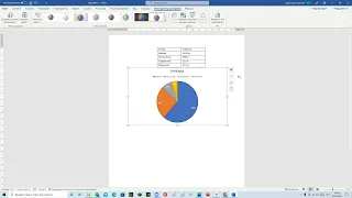 Word Круговая Диаграмма Проценты