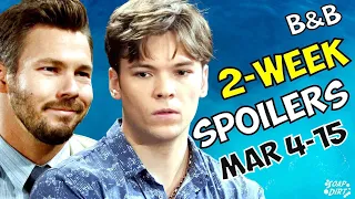 Bold and the Beautiful 2-Week Spoilers March 4-15: Liam Slips in & RJ Suspicious #boldandbeautiful