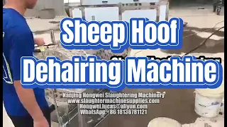 Sheep hoof dehairing machine semi-automatic goat hoof hairer abattoir slaughter line equipment