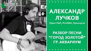 Как играть Город Золотой - Аквариум | Разбор на гитаре