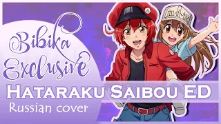 Hataraku Saibou ED [CheerS] (Russian cover by Marie Bibika)