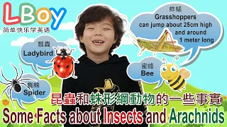 學習英文 | 昆蟲英文 | Insects and arachnids | 英文單詞 | 英文口語 | 兒童英語 | 学习英语 | 蛛形綱動物 | 昆虫英文 | Insects Vocabulary