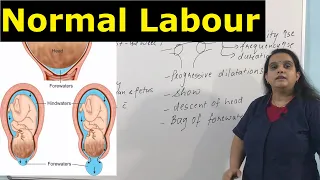 🤱 Normal Labour 🤱 Eutocia & Dystocia 🤱 True Labour Pain & False Labour Pain 🤱 Nursing Lecture