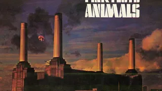 Sheep cover - Pink Floyd jam