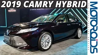 New 2018 Toyota Camry Walkaround Review and First Impressions | A Level Up | Motoroids