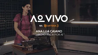 Ana Lua Caiano - O Bicho Anda Por Aí | Ao Vivo na Antena 3 | Antena 3