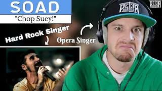 Professional Singer Vocal ANALYSIS of System Of A Down | "Chop Suey"