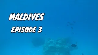 Maldives | Snorkeling in Maldives Private Island | Day 3 | Episode 3 | Vlog 8