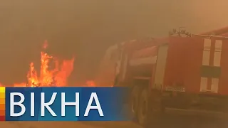 Лес на Луганщине пылает! Когда пожарные надеются полностью потушить огонь | Вікна-Новини
