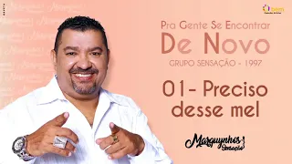 01 - Preciso Desse Mel - Grupo Sensação CD"Pra Gente se Encontrar de Novo"(1997)-Marquynhos Sensação