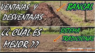 SISTEMA TRADICIONAL o BANCAL  ¿¿ CUAL es MEJOR??