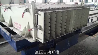 Lightweight Concrete Hollow Core Wall Panel Production Line