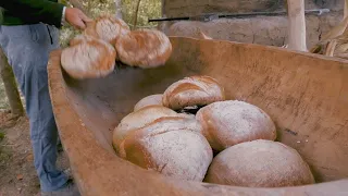 How Many Bread Loaves?  - on the Townsends Homestead
