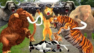 3 Giant Buffaloes attack Lion to Rescue Cow Cartoon Saved by Woolly Mammoth Elephant Vs Giant Tiger