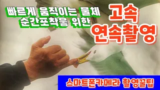 @스마트폰카메라 고속연속 촬영방법