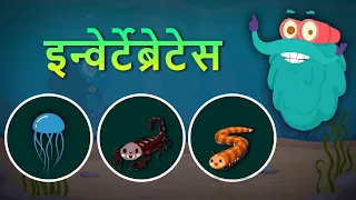 इन्वेर्टेब्रेटेस | अकशेरूकीय | Invertebrates In Hindi |Dr.Binocs Show |Best Learning Videos For Kids